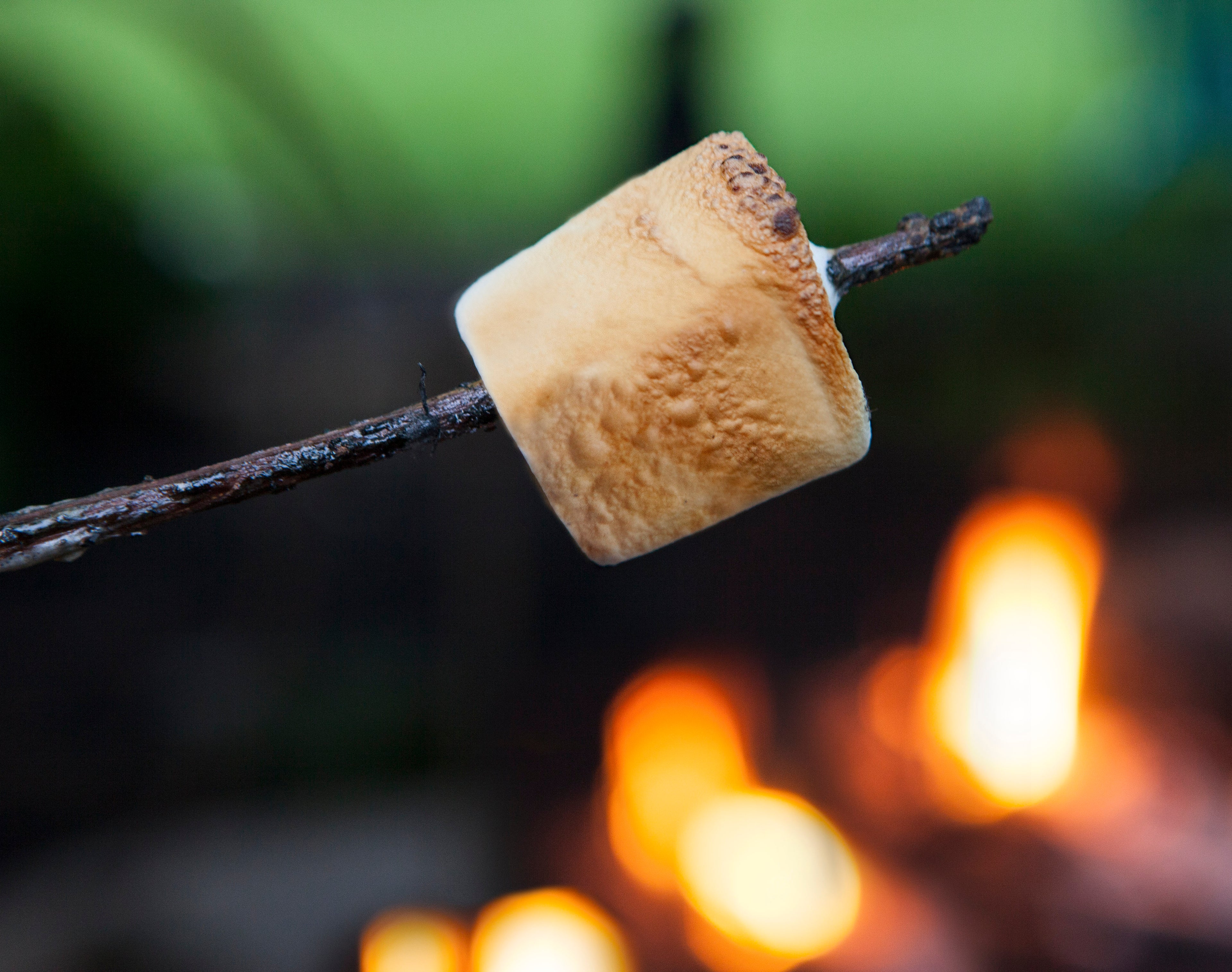 Toasted Marshmallow Ember Nectar Perfume